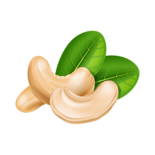 cashew